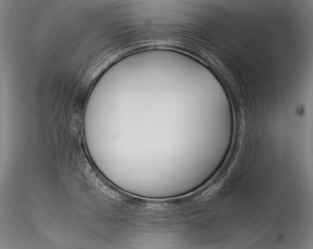 X0000115300985200911301509