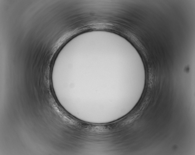 X0000115300986200911301509