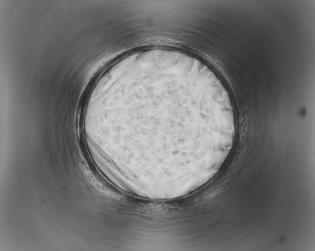 X0000115300987200911301509