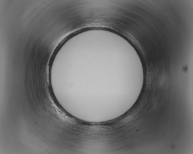 X0000115300988200911301509