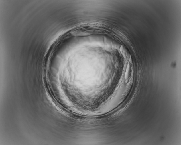 X0000115300989200911301509