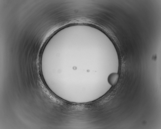 X0000115300990200911301509