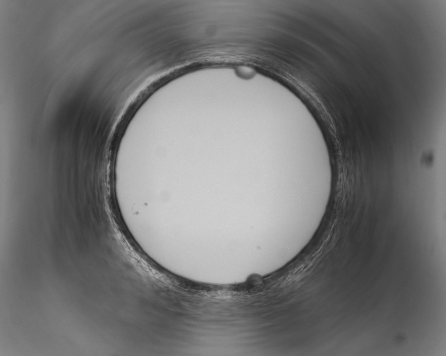 X0000115300992200911301509