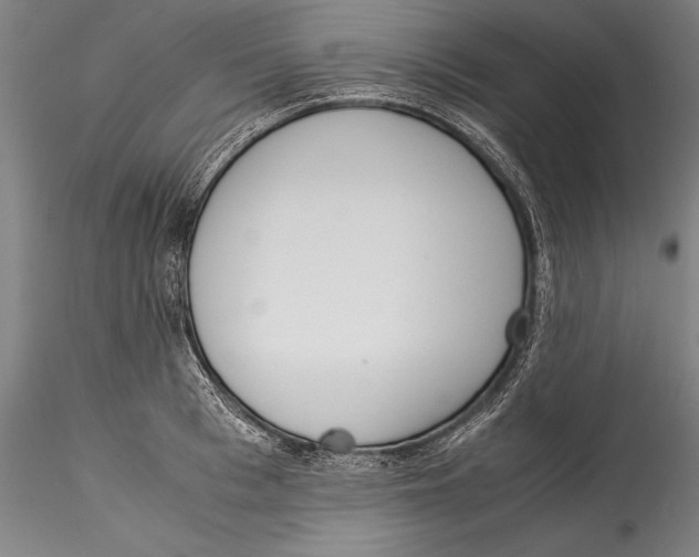 X0000115300993200911301509