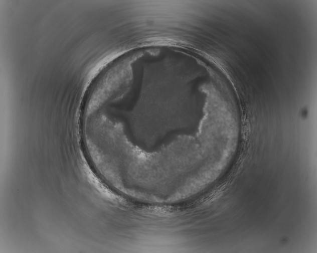 X0000115300995200911301509