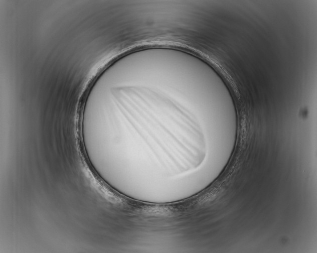 X0000115300998200911301509