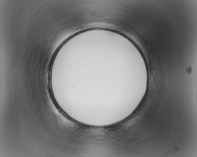 X0000115300999200911301509