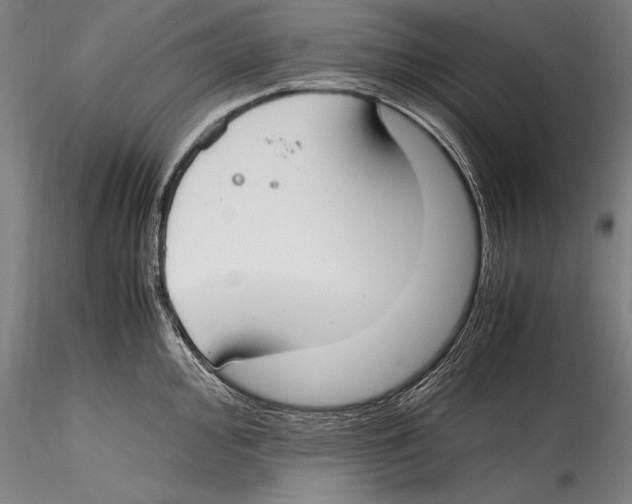 X0000115301000200911301509