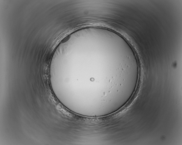 X0000115301001200911301509