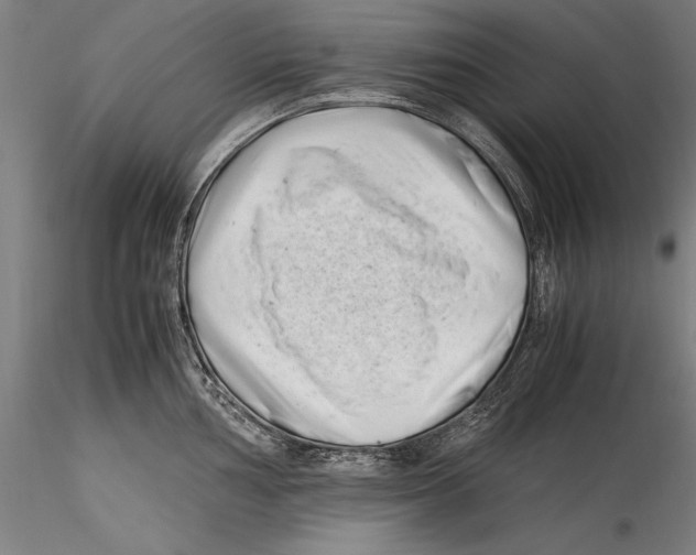 X0000115301002200911301509