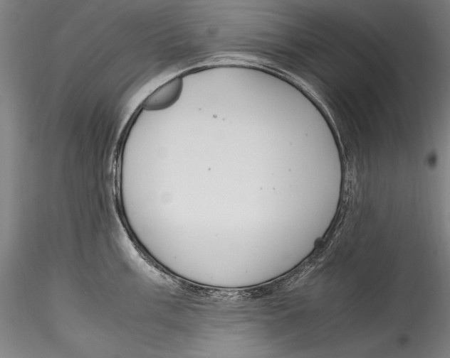 X0000115301003200911301509