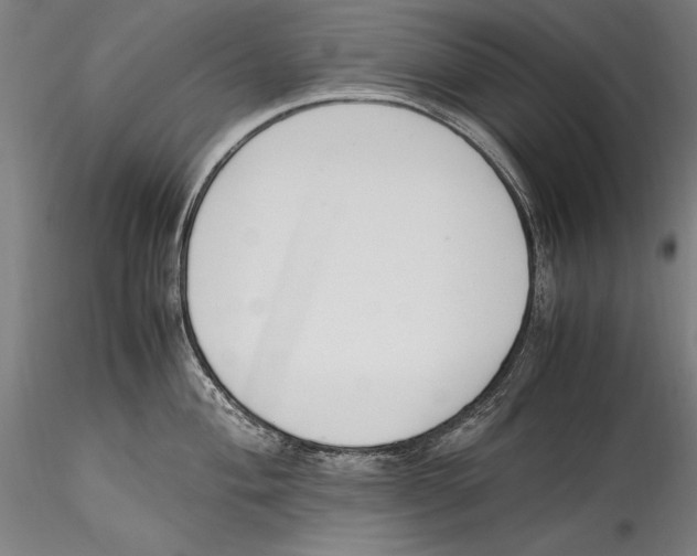 X0000115301004200911301509