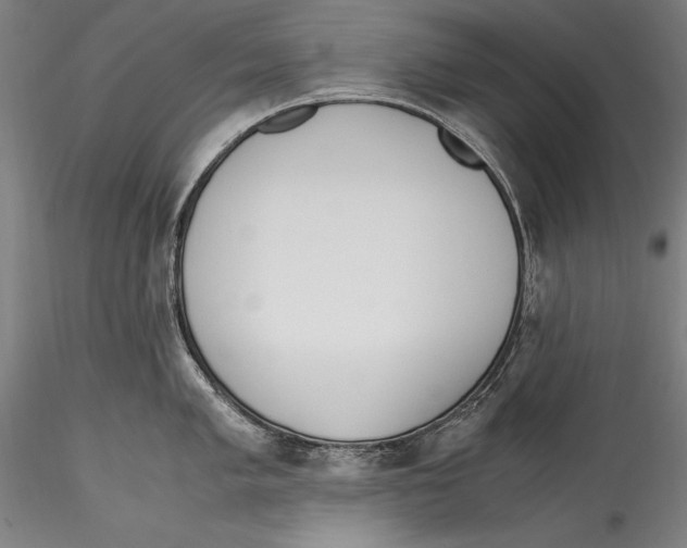 X0000115301005200911301509