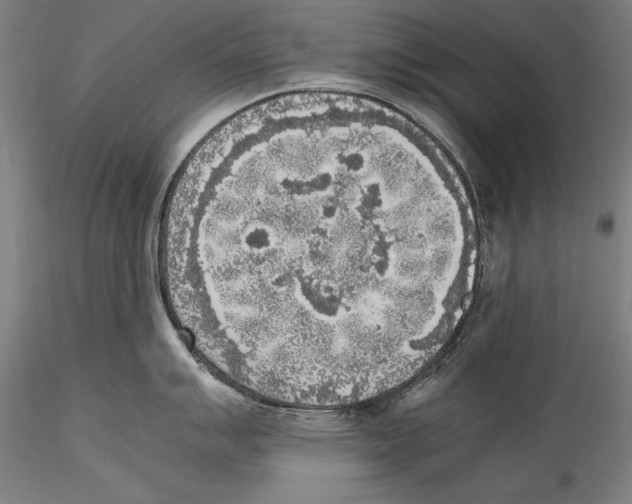 X0000115301007200911301509