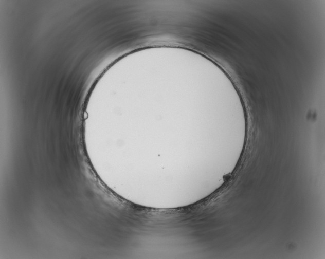 X0000115301008200911301509