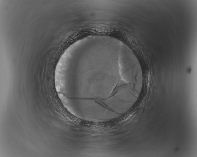 X0000115301009200911301508