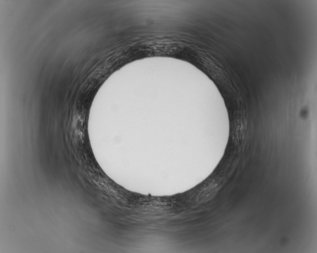 X0000115301010200911301509