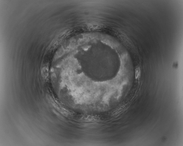 X0000115301011200911301509