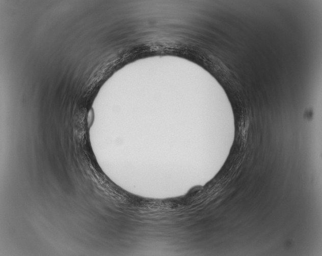 X0000115301012200911301509