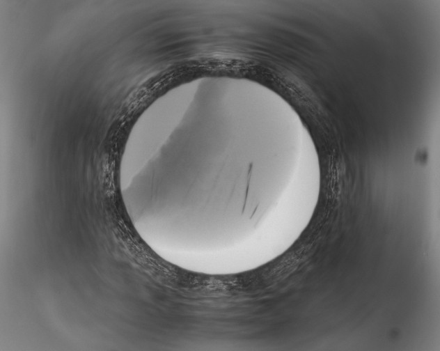 X0000115301013200911301509