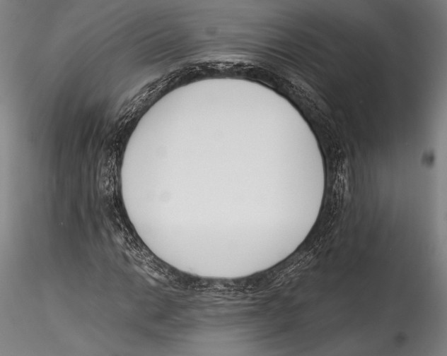 X0000115301014200911301509