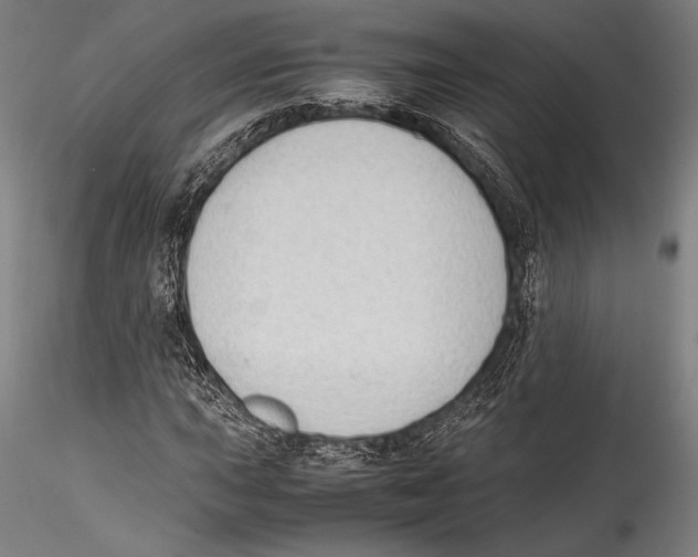 X0000115301015200911301509