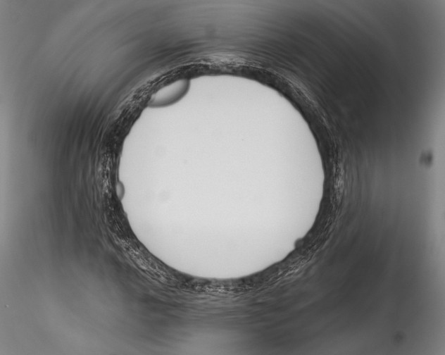 X0000115301016200911301509