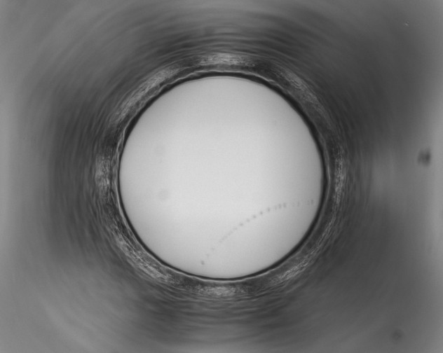 X0000115301017200911301509