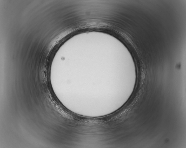 X0000115301018200911301509