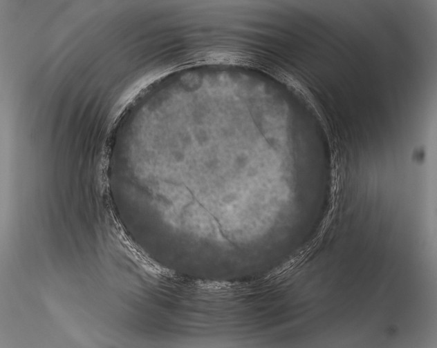 X0000115301019200911301509