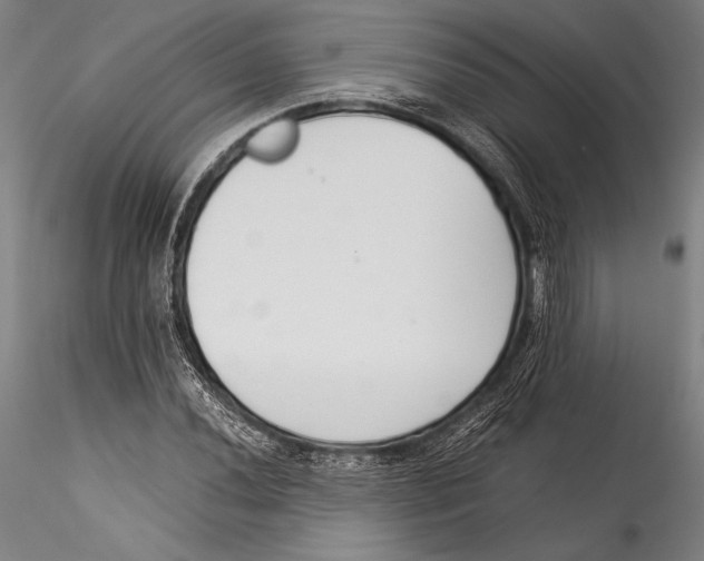 X0000115301020200911301509