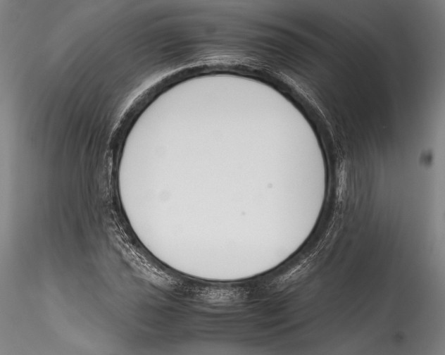 X0000115301021200911301509