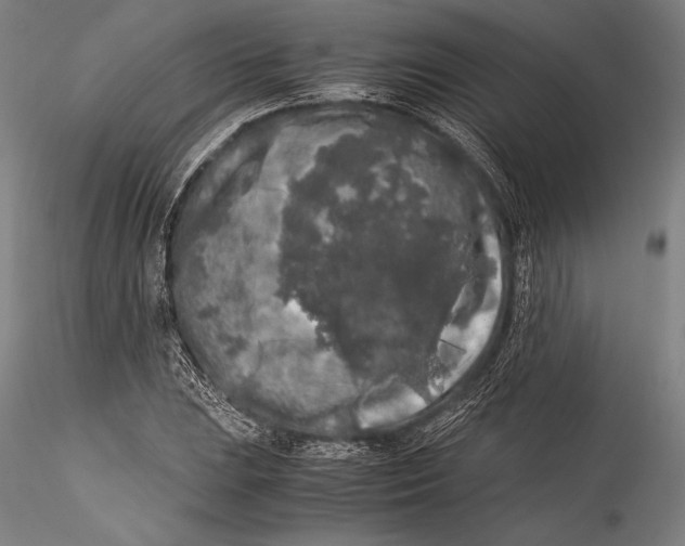 X0000115301023200911301509