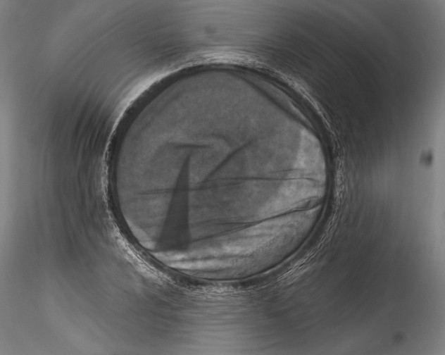 X0000115301024200911301509