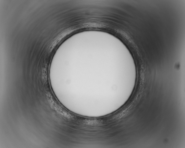 X0000115301025200911301509