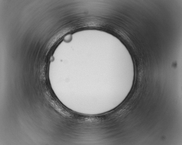 X0000115301026200911301509