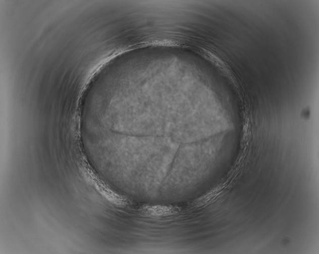 X0000115301027200911301509