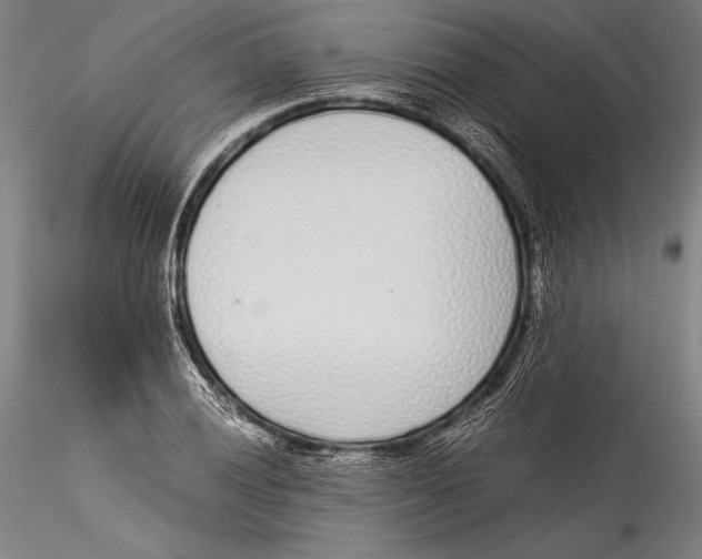 X0000115301028200911301509