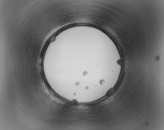 X0000115301029200911301509