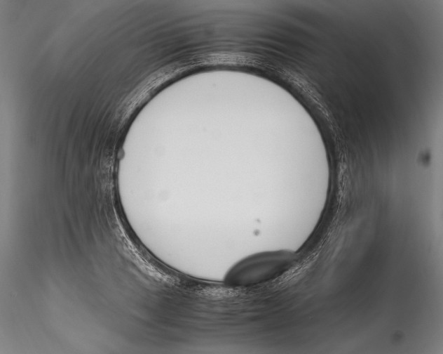 X0000115301033200911301509