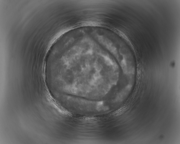 X0000115301035200911301509