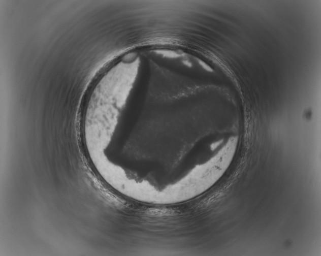 X0000115301037200911301509