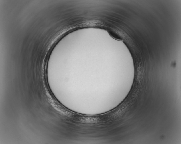 X0000115301039200911301509