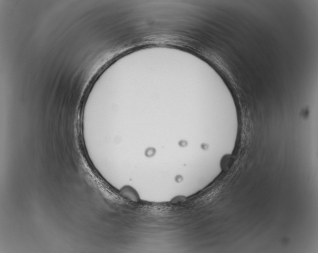 X0000115301040200911301509