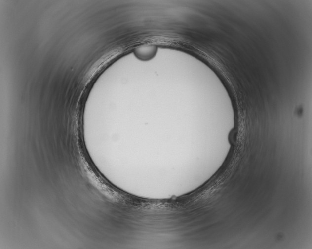 X0000115301042200911301509