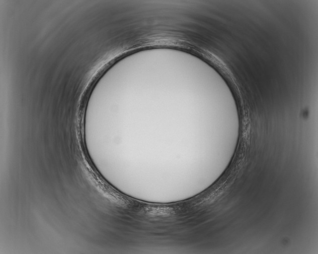 X0000115301043200911301509