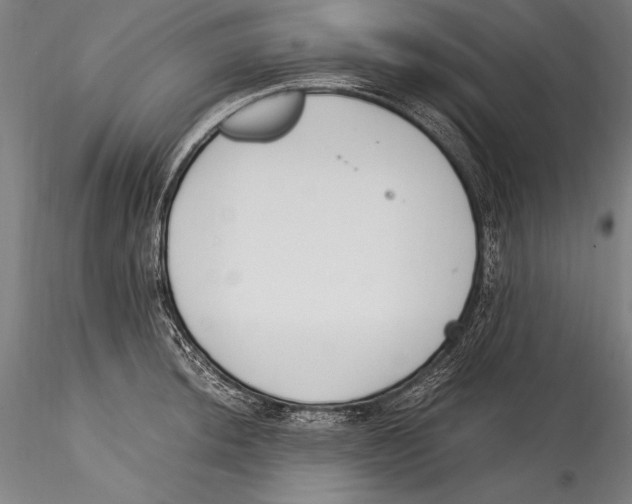 X0000115301044200911301509