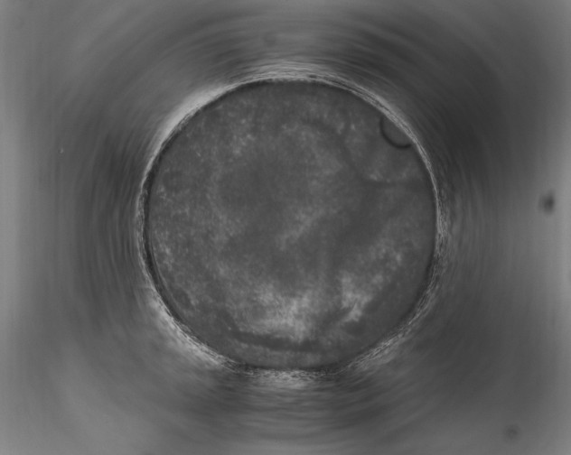 X0000115301045200911301509