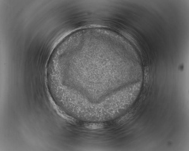 X0000115301047200911301509