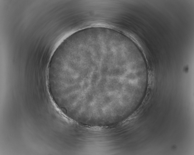 X0000115301048200911301509